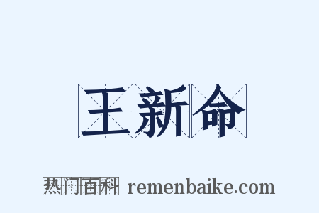 王新命是什么意思的图片
